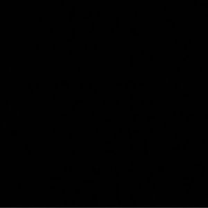 Meet your Posher, Diamonds